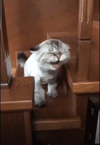 Просто гифки, всякие и&nbsp;разные