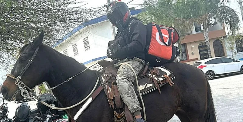 Транспорт подвел: курьер решил доставлять заказ верхом на лошади