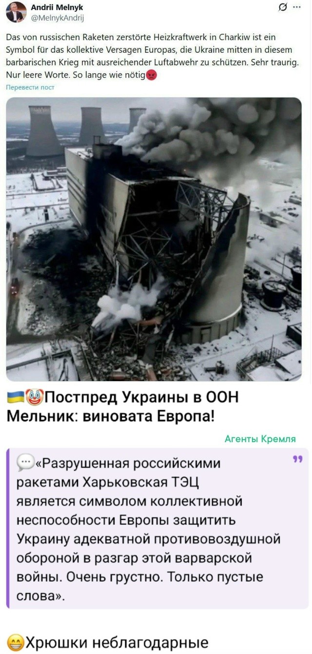 И снова у каклов кто-то виноват, а не они сами