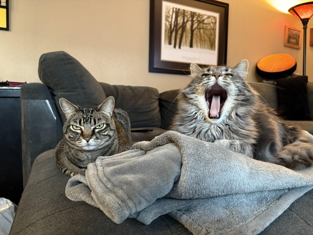 19. Мы такие разные, но идеально дополняем друг друга