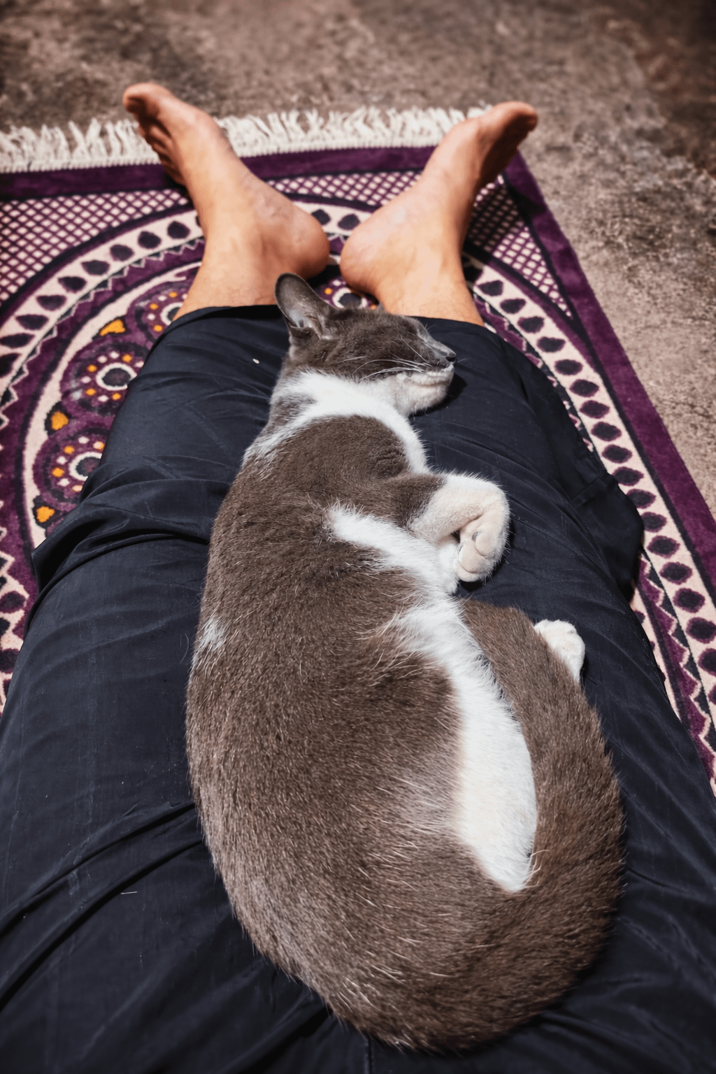 14. Ты не уйдёшь