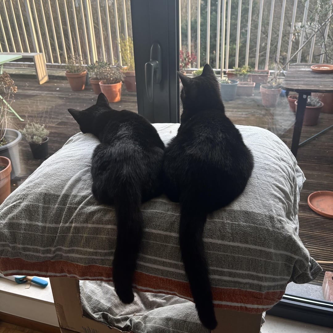 11. Ни секунды друг без друга