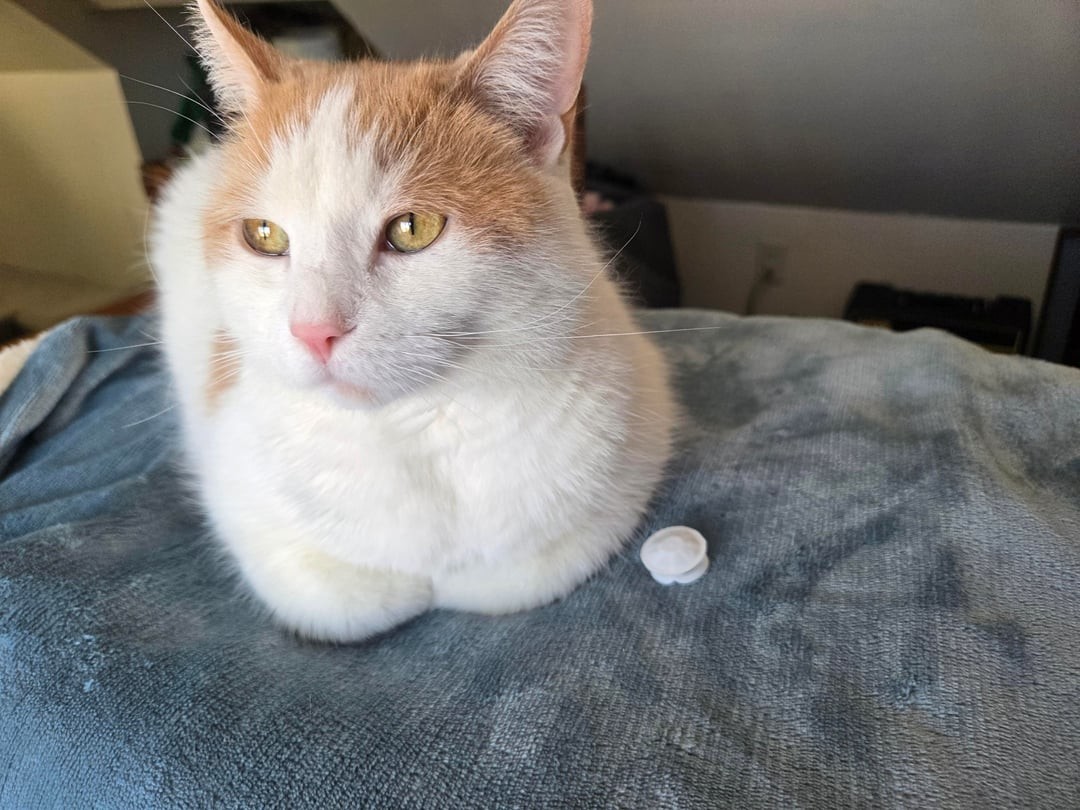 2. Думы, мечты, грёзы