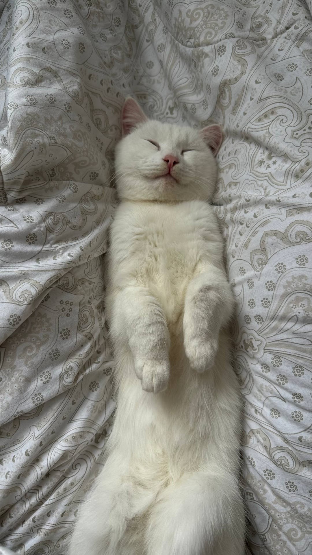 10. А вы сегодня улыбались?