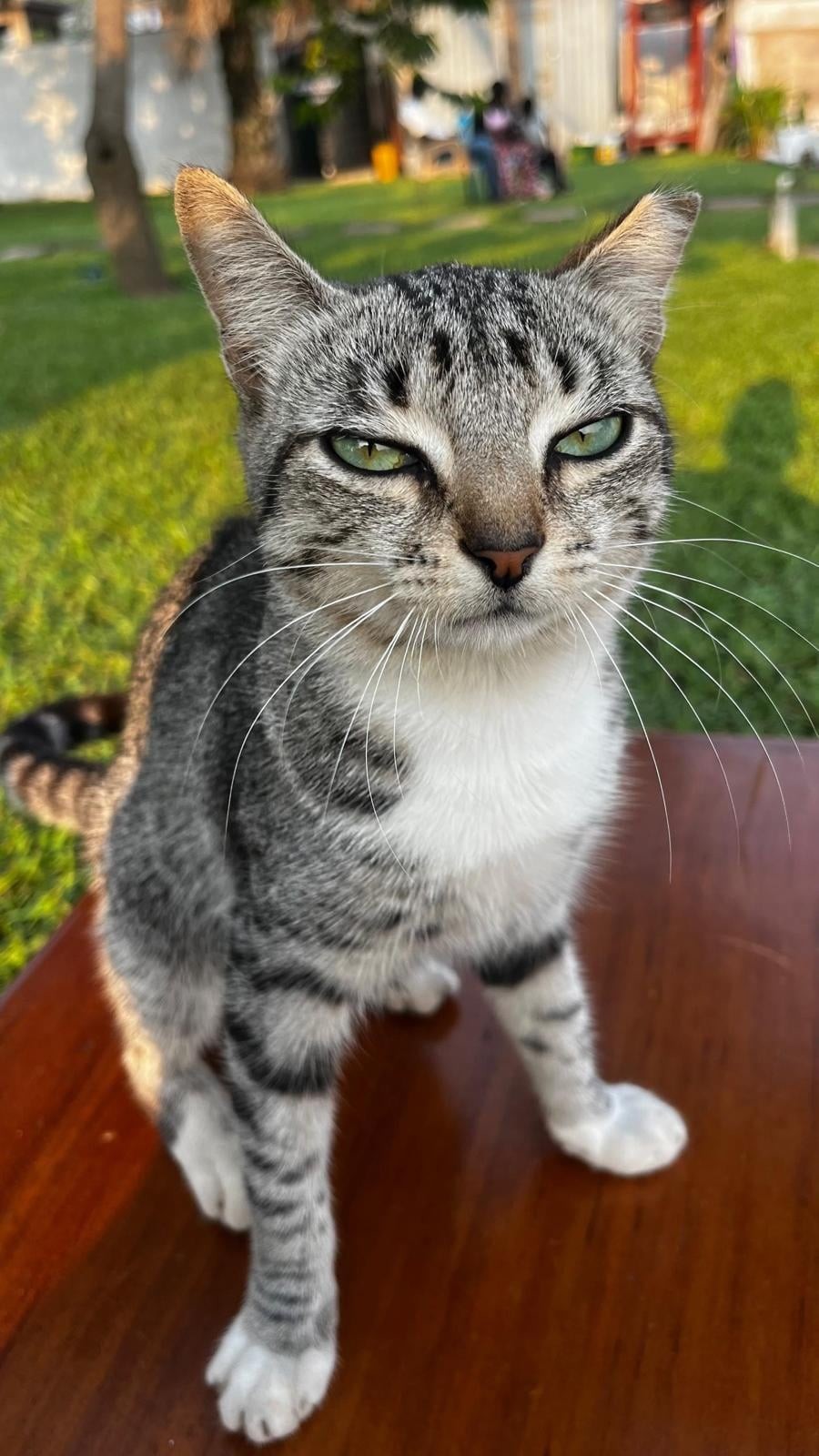 1. Я вижу, что вы не работаете