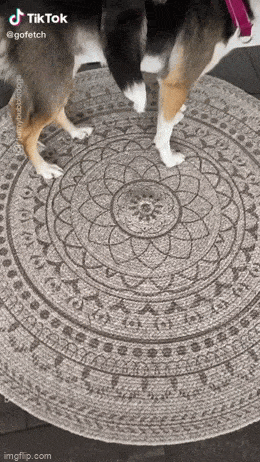 Просто гифки, всякие и&nbsp;разные