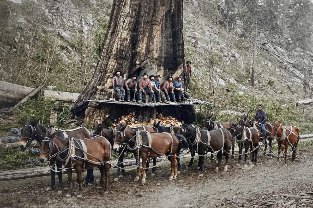 Подборка интересных и необычных фотографий из США
