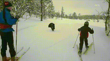 Просто гифки, всякие и&nbsp;разные