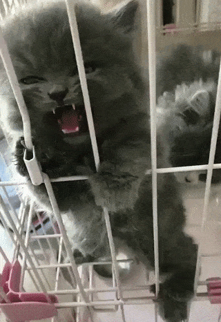 Просто гифки, всякие и&nbsp;разные