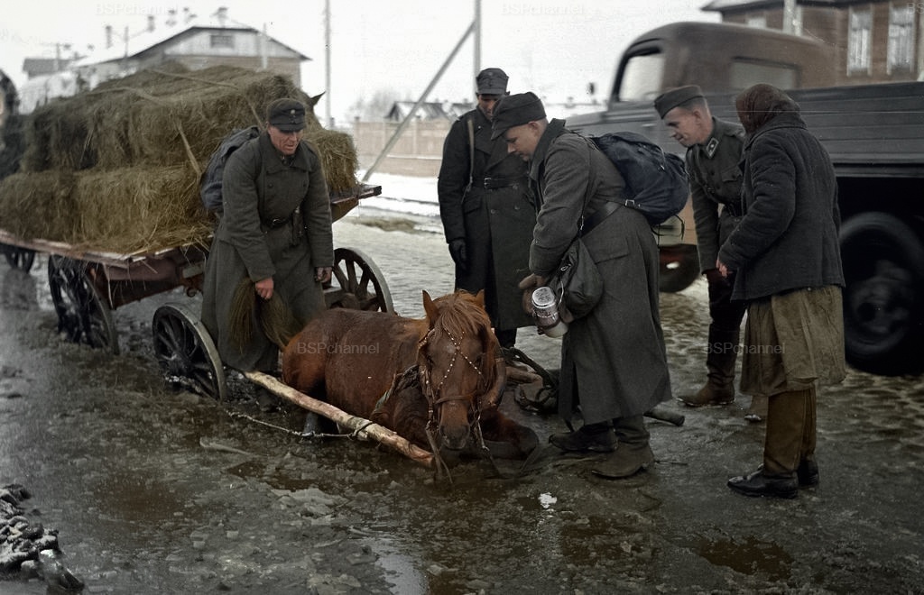 Фронт и тыл Великой Отечественной Войны на снимках