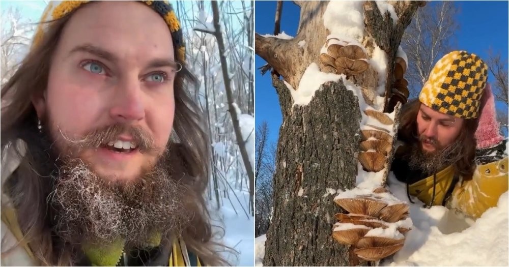 Биолог отправился в зимний лес за грибами