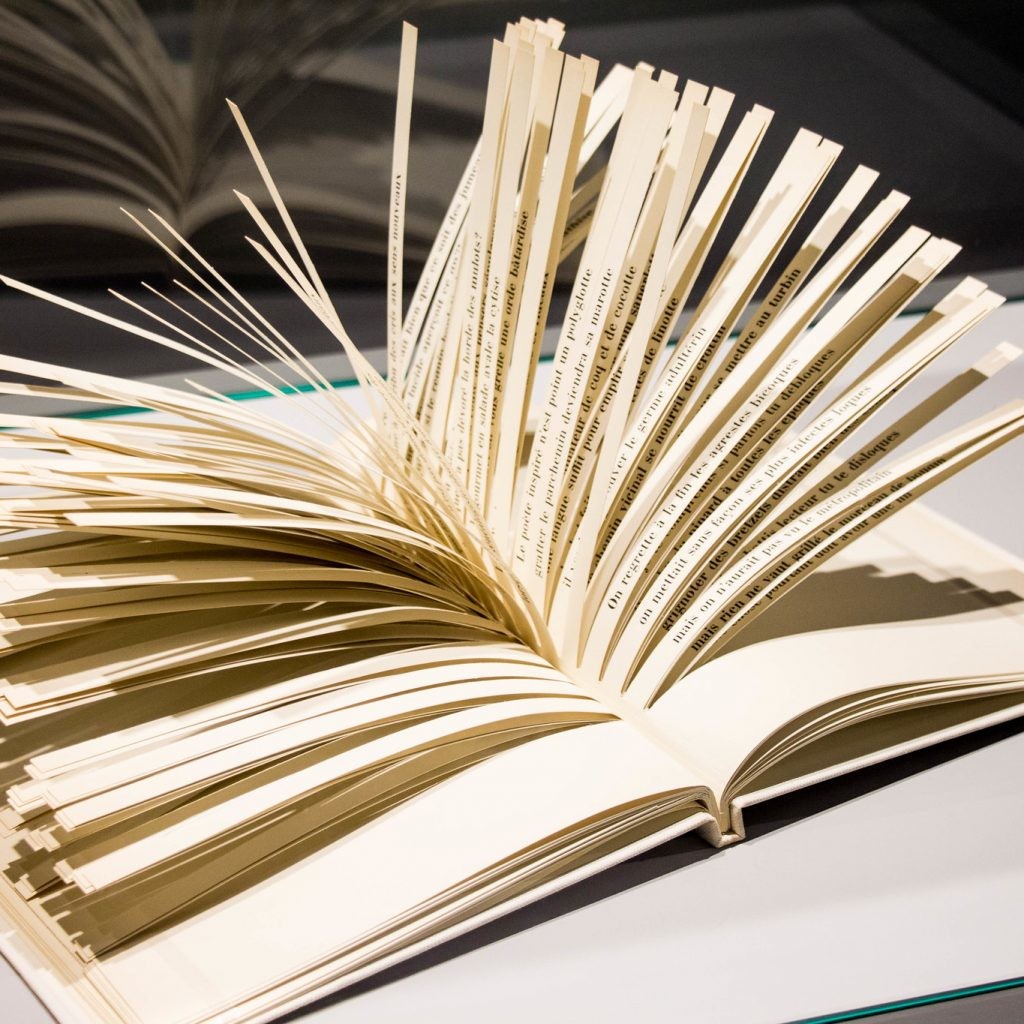 5. Уникальная книга