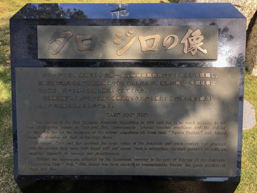 Антарктическая одиссея двух хаски: как Таро и Дзиро победили Антарктиду