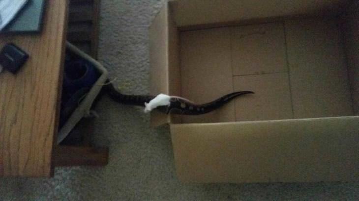 16. Спасательная операция