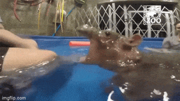 Просто гифки, всякие и&nbsp;разные