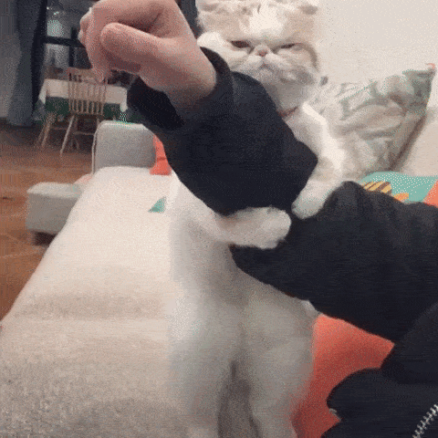 Просто гифки, всякие и&nbsp;разные