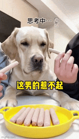 Просто гифки, всякие и&nbsp;разные