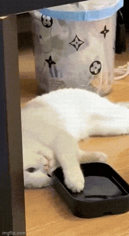 Просто гифки, всякие и&nbsp;разные