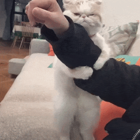 Просто гифки, всякие и&nbsp;разные