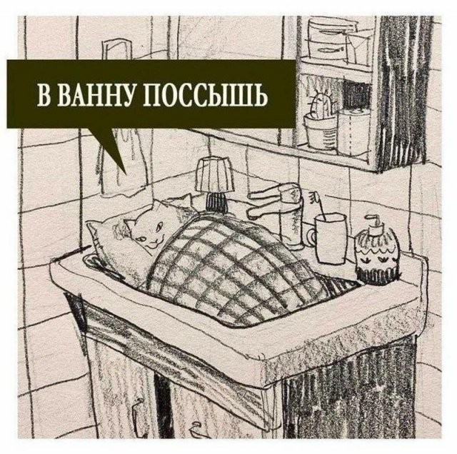 Скрины из соцсетей