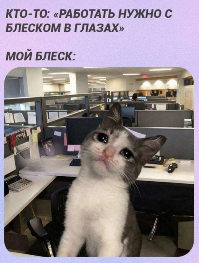 Скрины из соцсетей