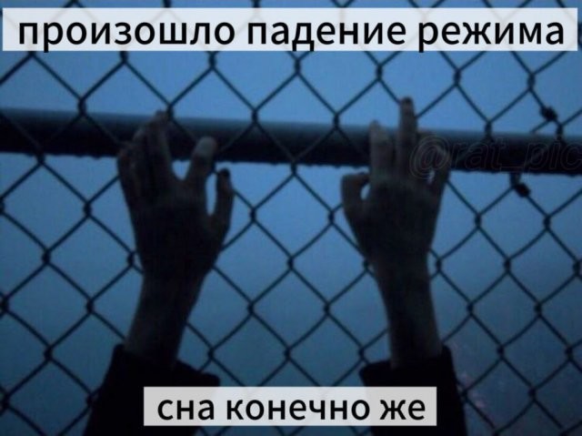 Скрины из соцсетей