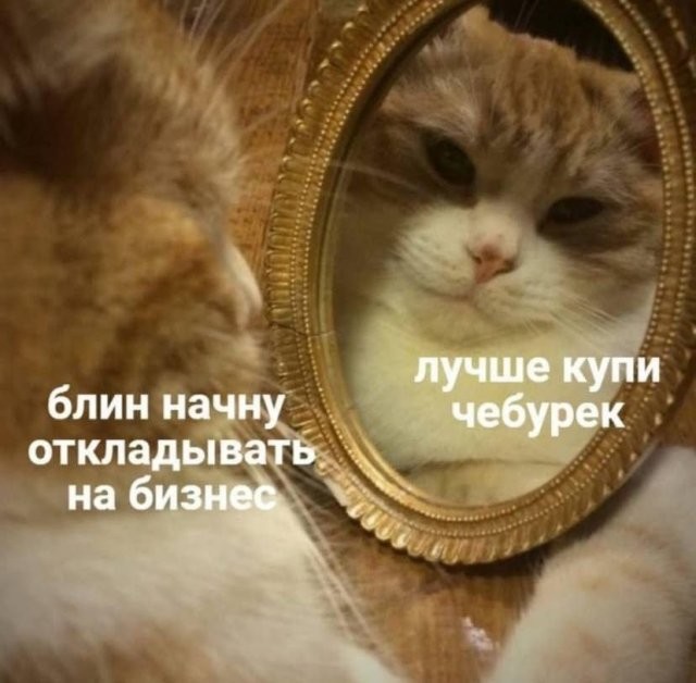 Скрины из соцсетей