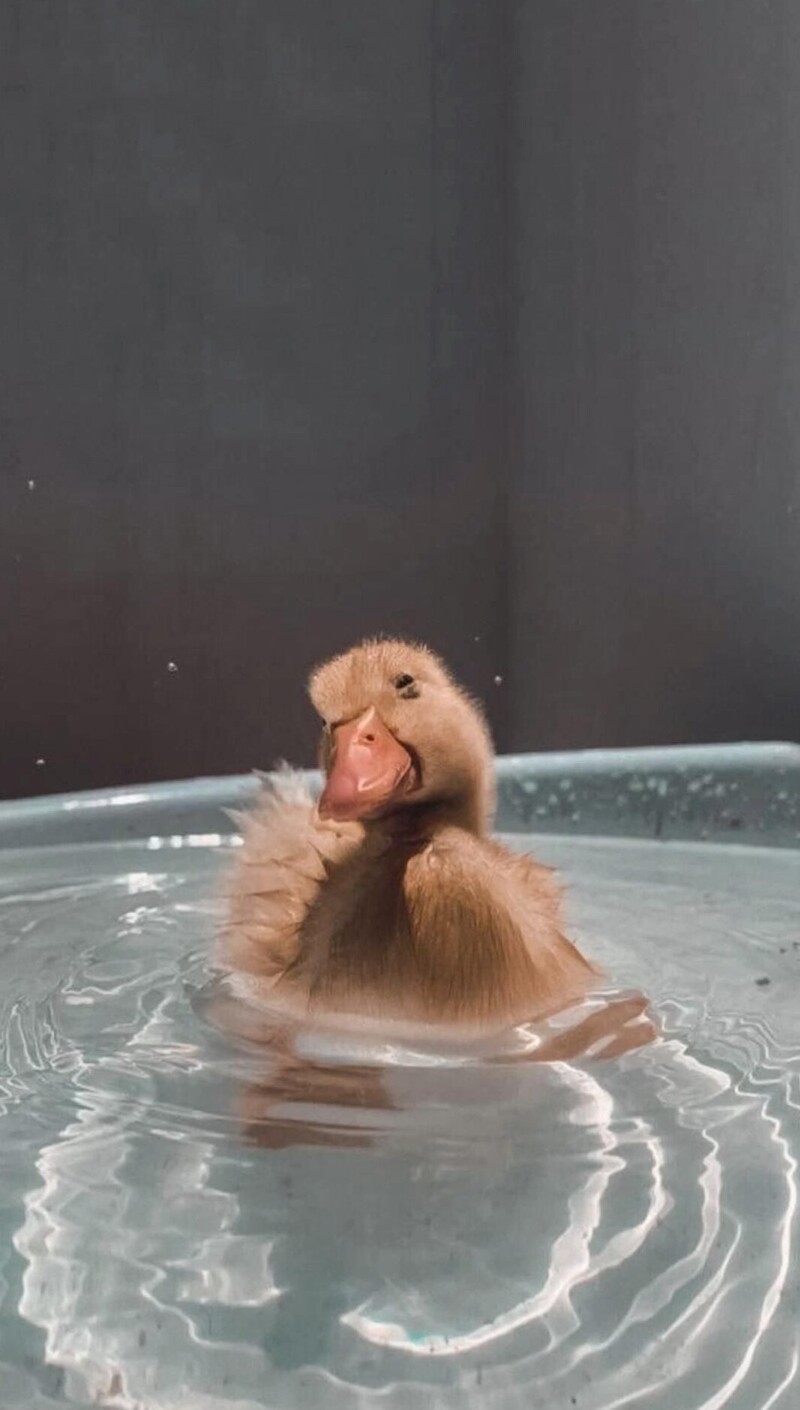 3. Водная гладь для меня благодать