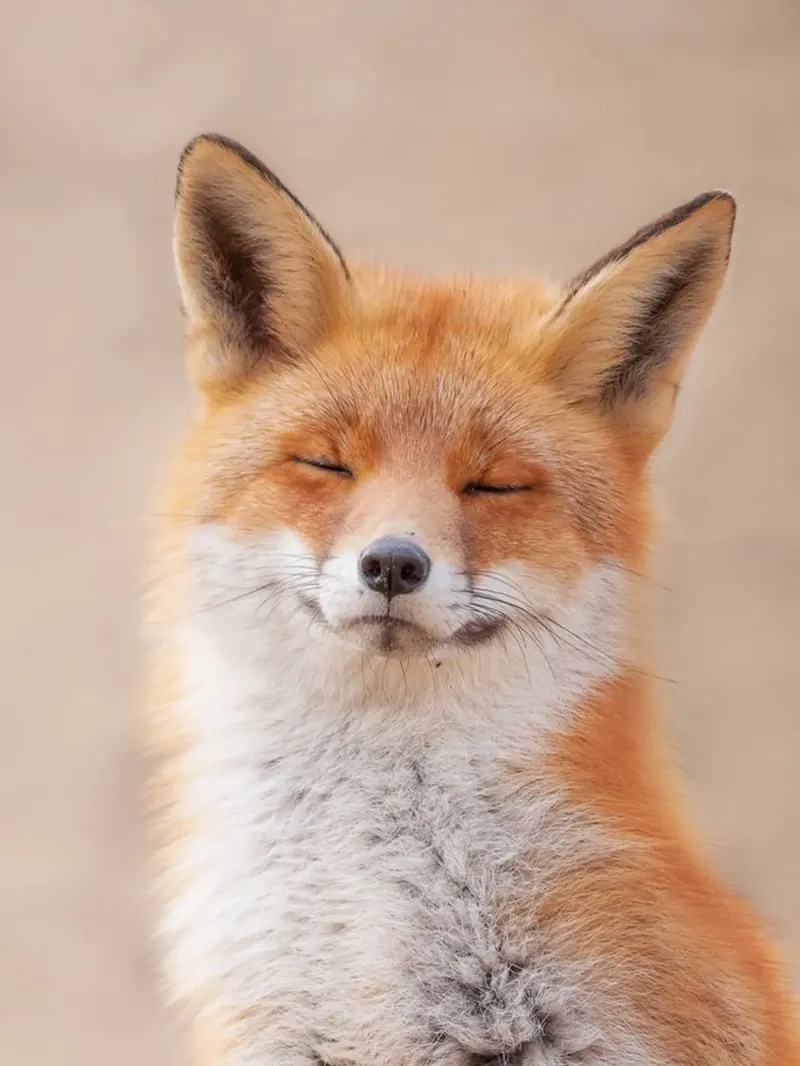 17. Я познаю дзен