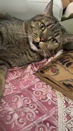 Просто гифки, всякие и&nbsp;разные