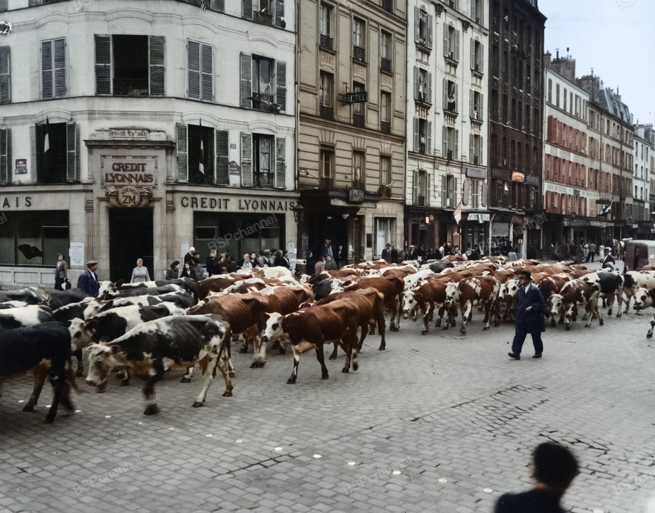 Редкие и интересные фотоматериалы с фронтов Второй Мировой Войны