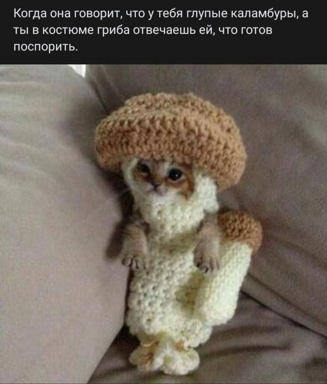 Скрины из соцсетей