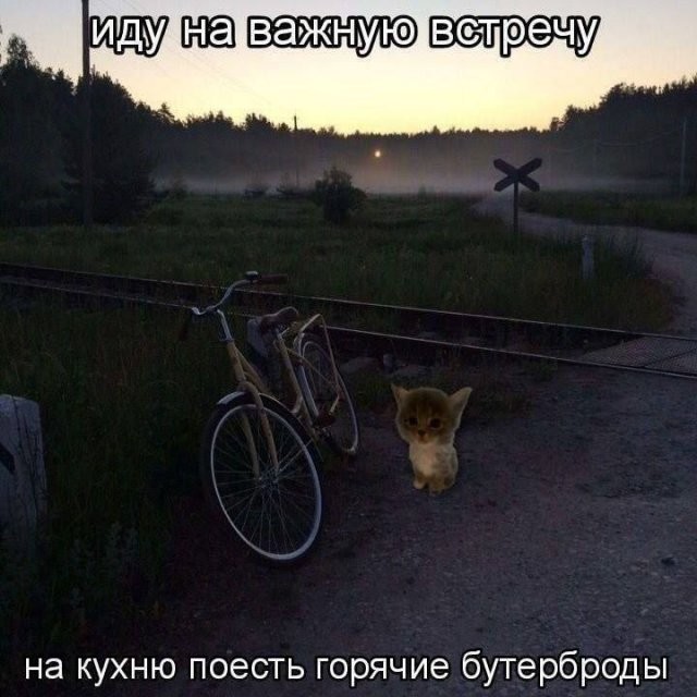 Скрины из соцсетей