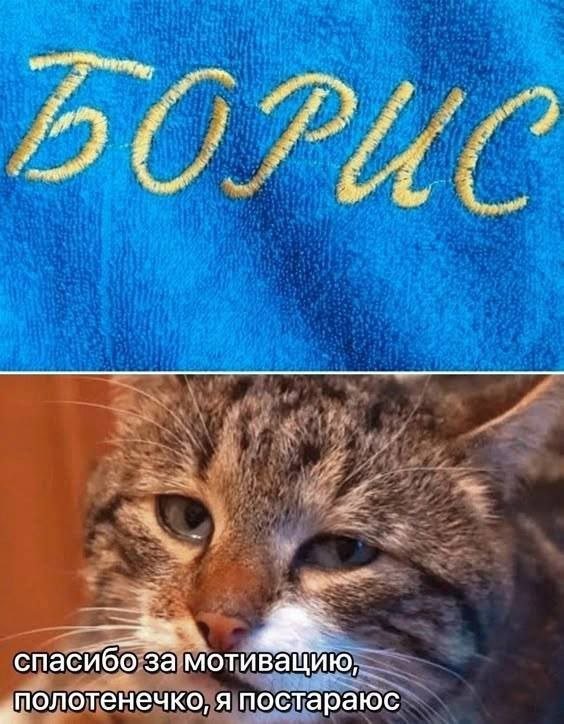 Скрины из соцсетей