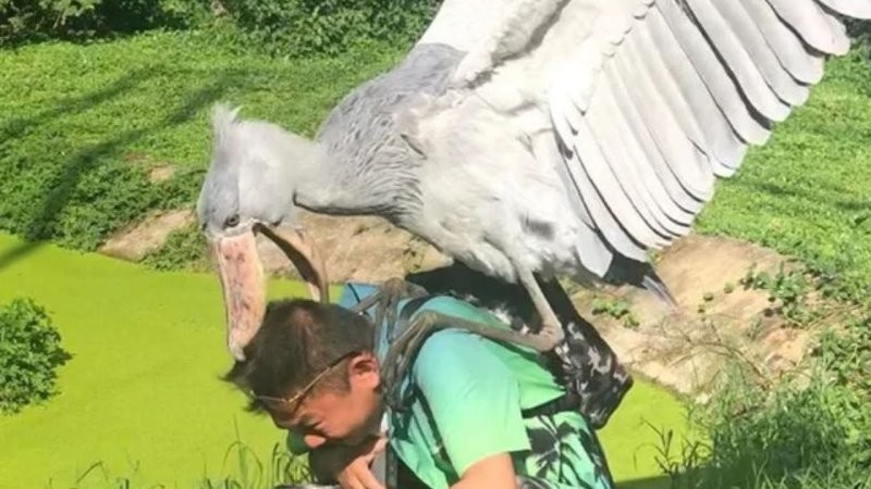 3. От меня не убежишь