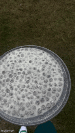 Просто гифки, всякие и&nbsp;разные