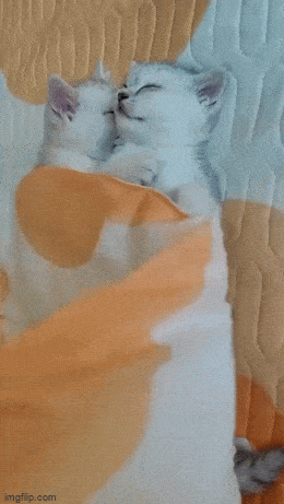 Просто гифки, всякие и&nbsp;разные