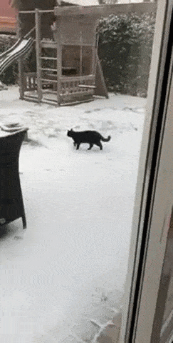 Просто гифки, всякие и&nbsp;разные