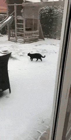 Просто гифки, всякие и&nbsp;разные