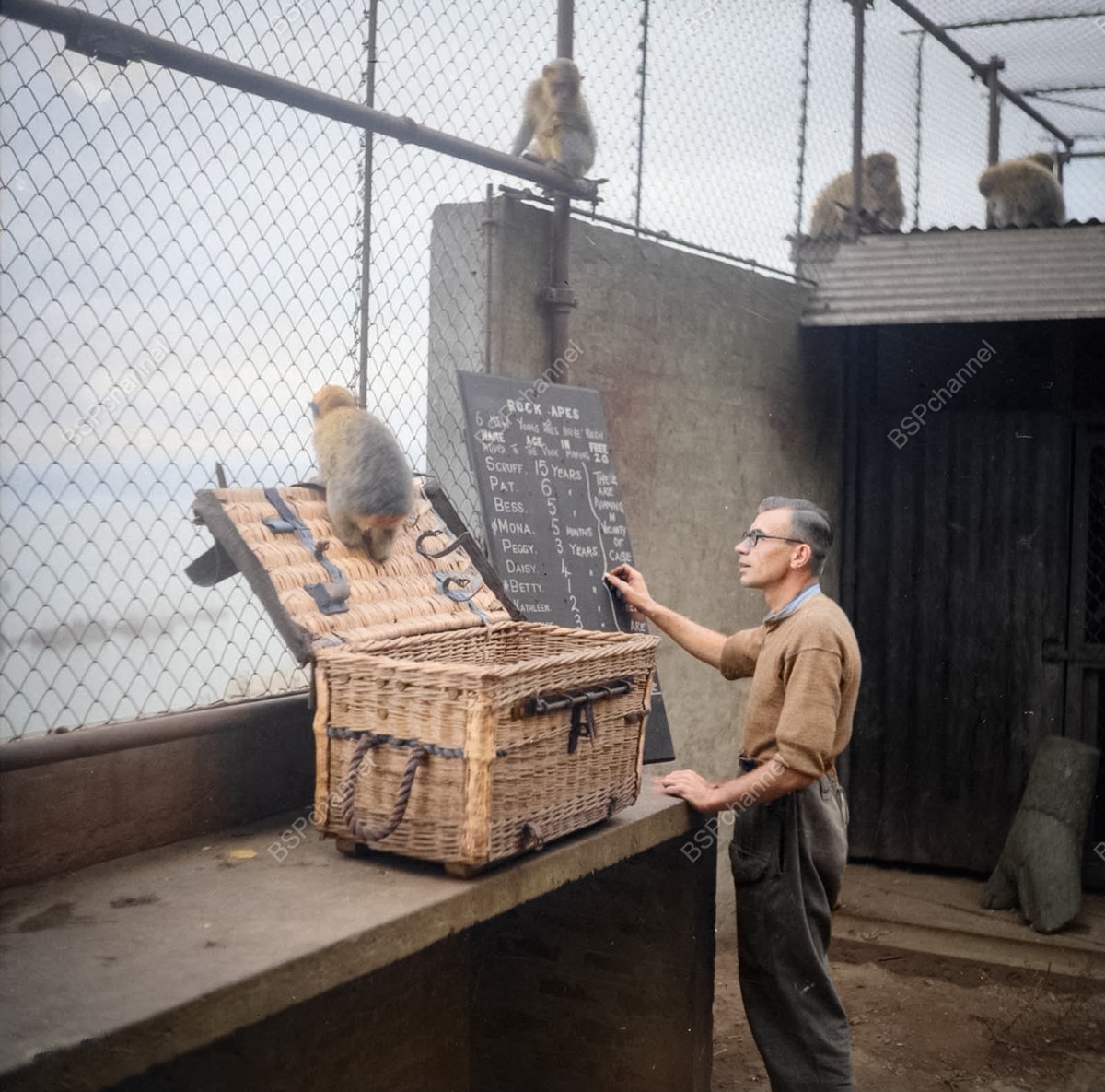 Любопытные фотографии из прошлого Великобритании