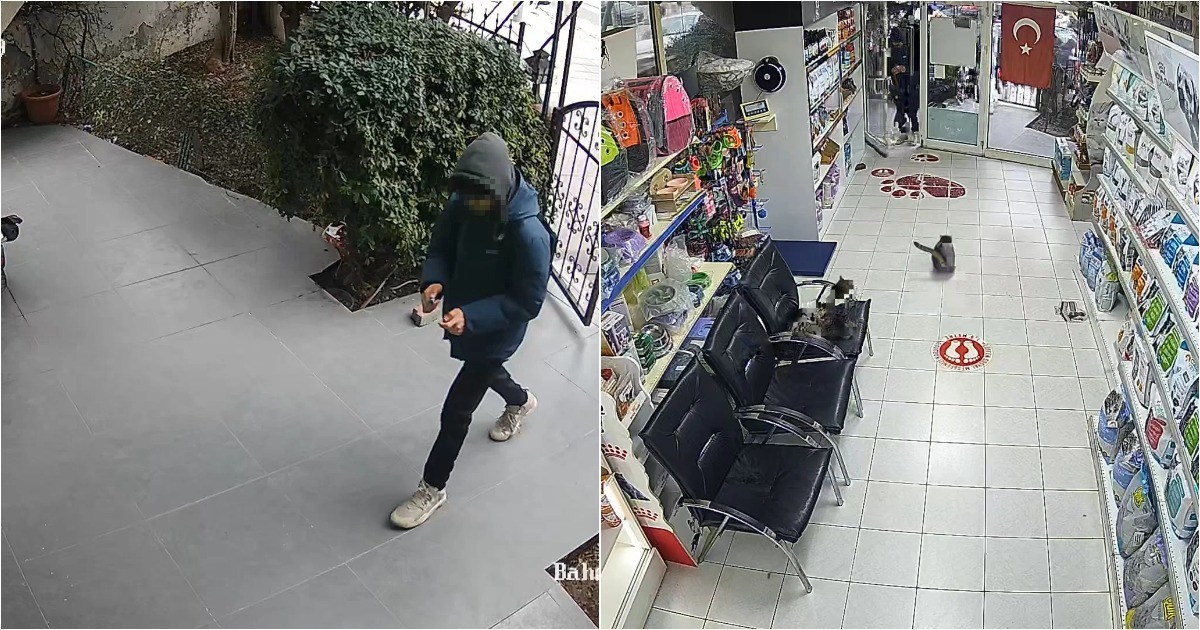 В Турции подростки бросили петарду в ветеринарную клинику