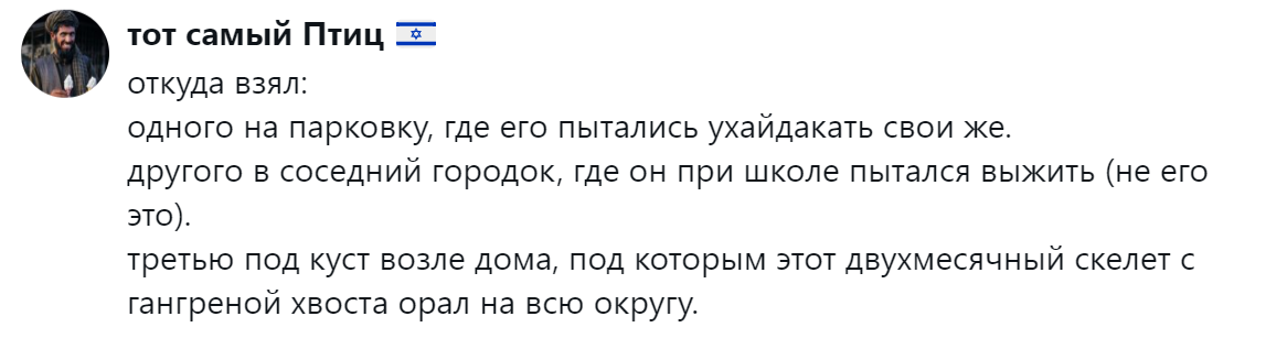 6. Вариантов много, для каждого свой, и все они ужасны