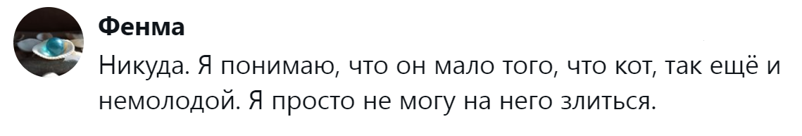 12. На них невозможно злиться