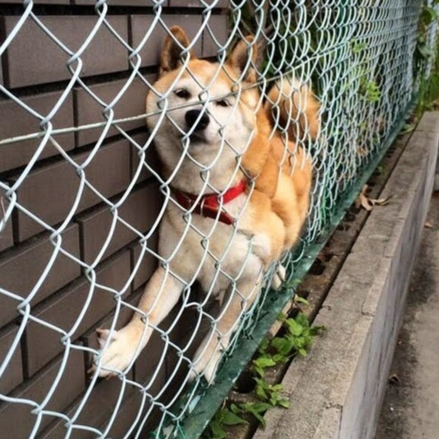 10. Я не ищу лёгких путей