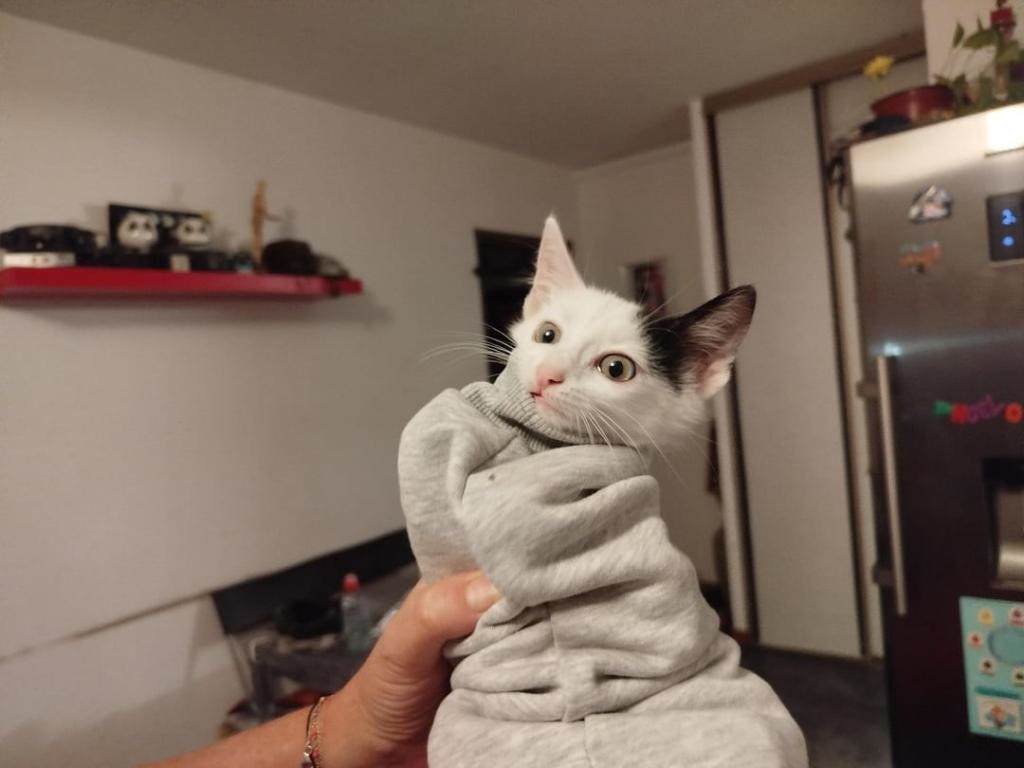 2. Путешествие по рукаву