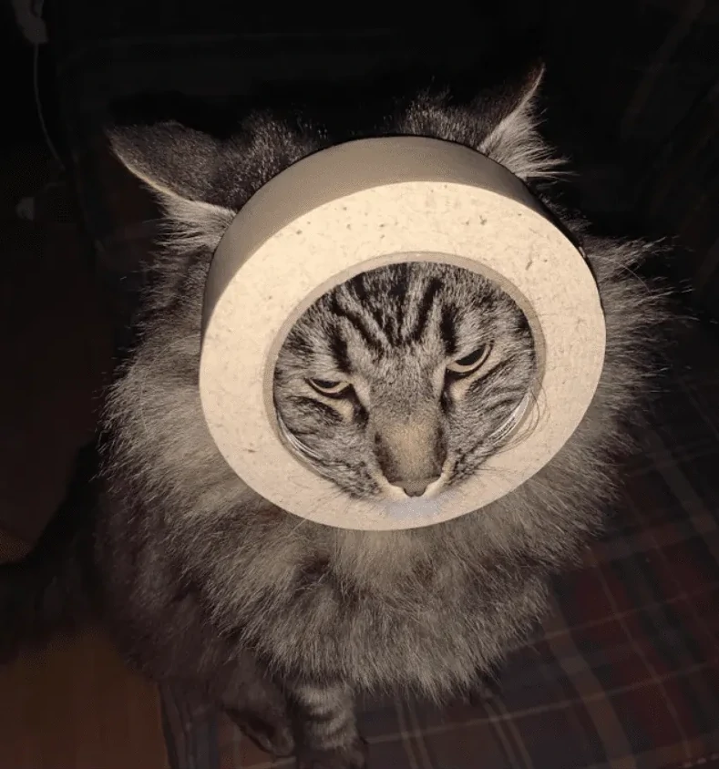 12. Так было надо