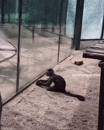 Просто гифки, всякие и&nbsp;разные