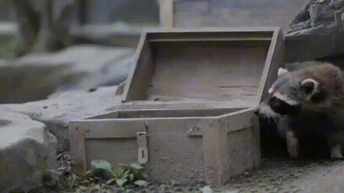 Просто гифки, всякие и&nbsp;разные