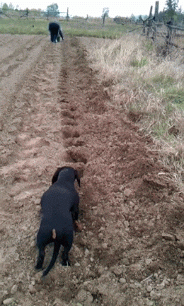 Просто гифки, всякие и&nbsp;разные
