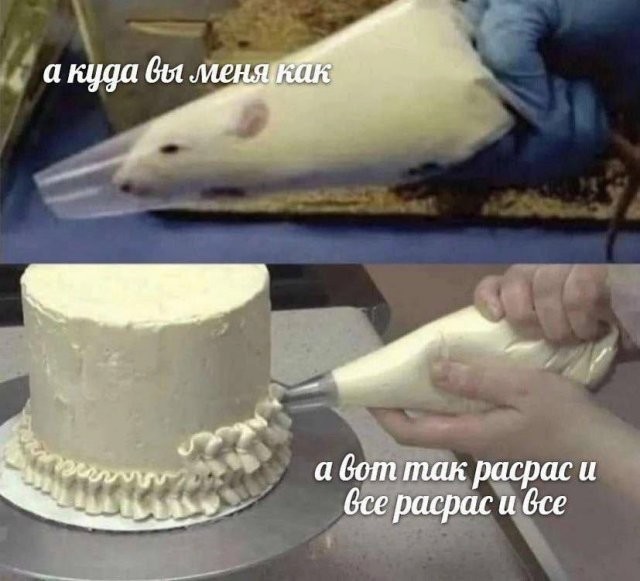 Скрины из соцсетей